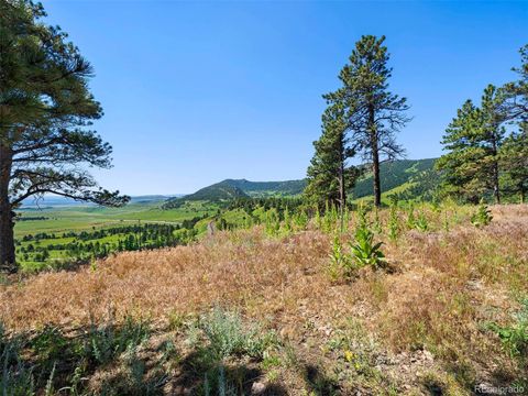 Unimproved Land in Arvada CO 53 Canyon Pines Drive 5.jpg