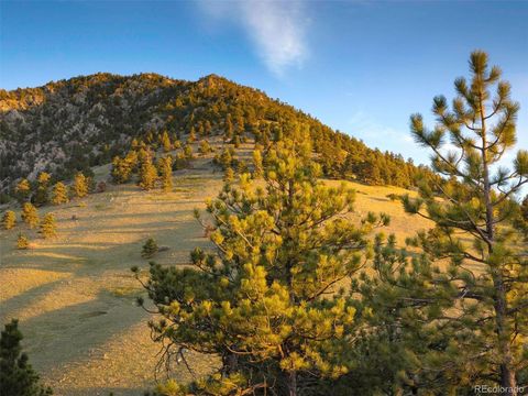 Unimproved Land in Arvada CO 53 Canyon Pines Drive 37.jpg