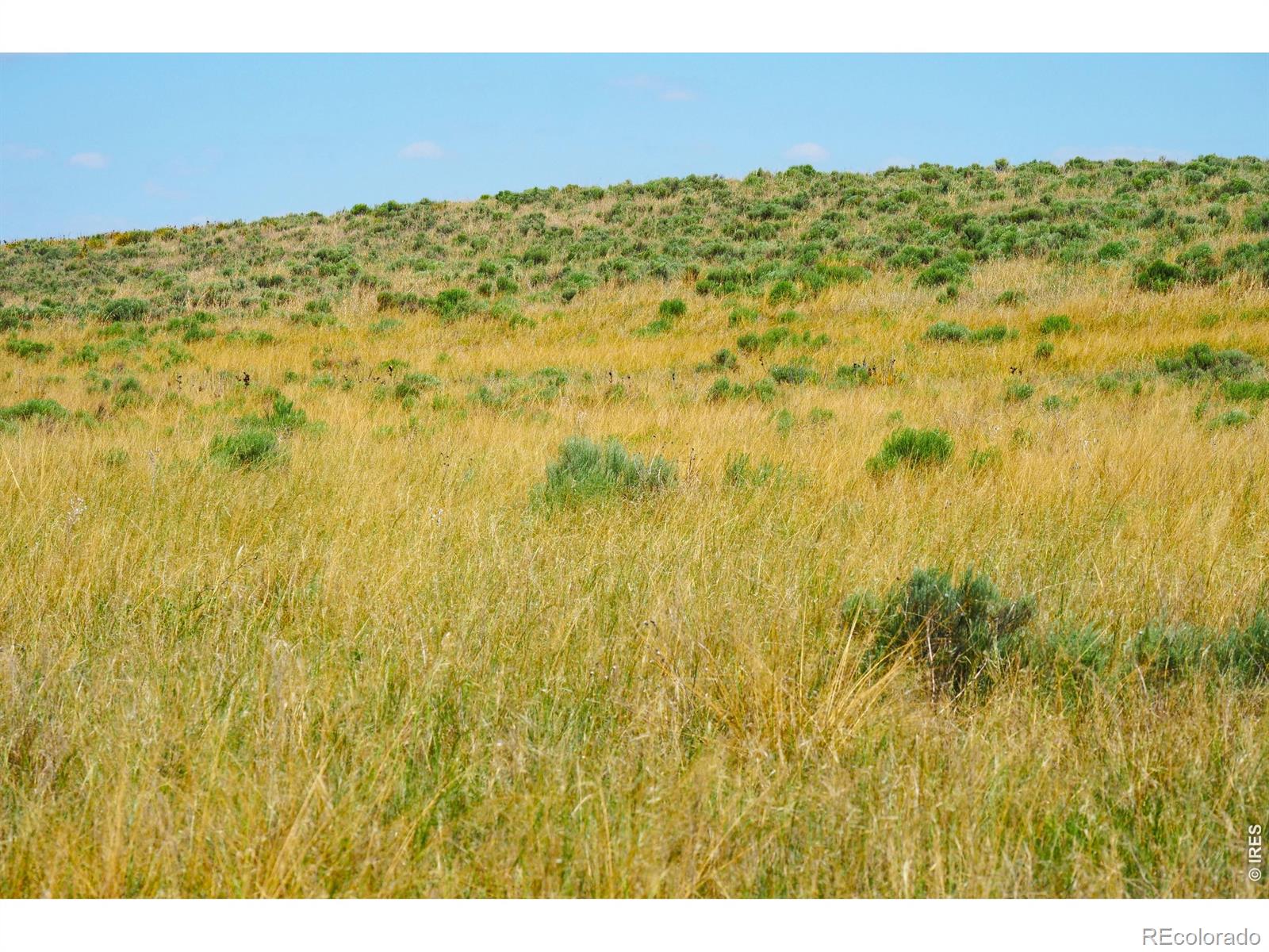 40777 County Road 46