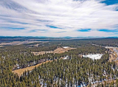 122 Arts Pike Fairplay CO 80440