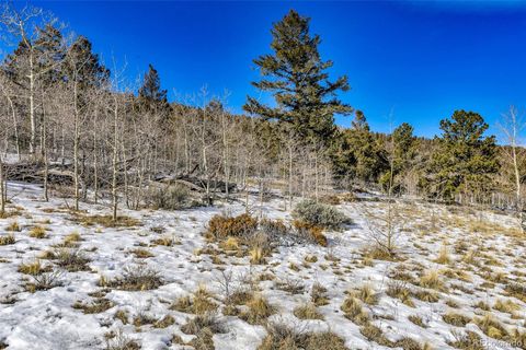 2996 Redhill Road Fairplay CO 80440