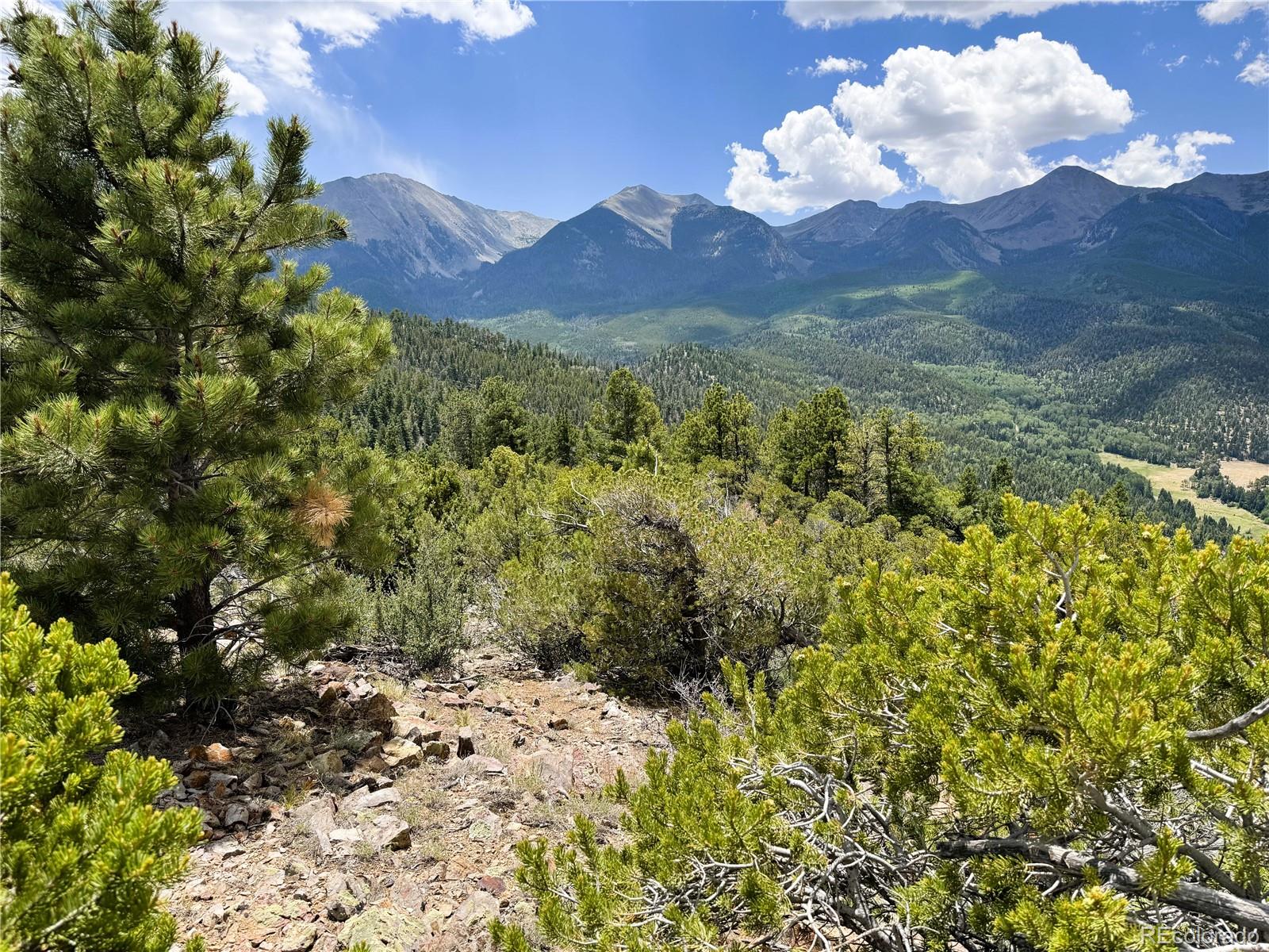 Lot 54 Knotty Pine Road