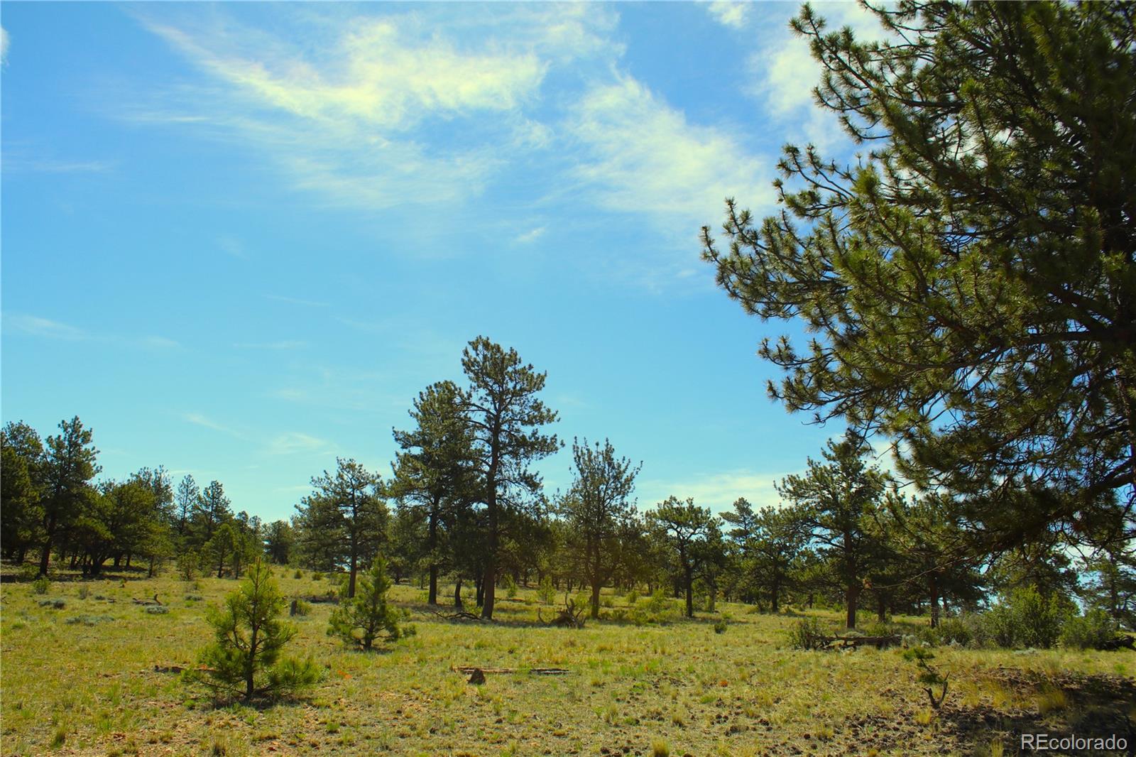 31572 Highway 9