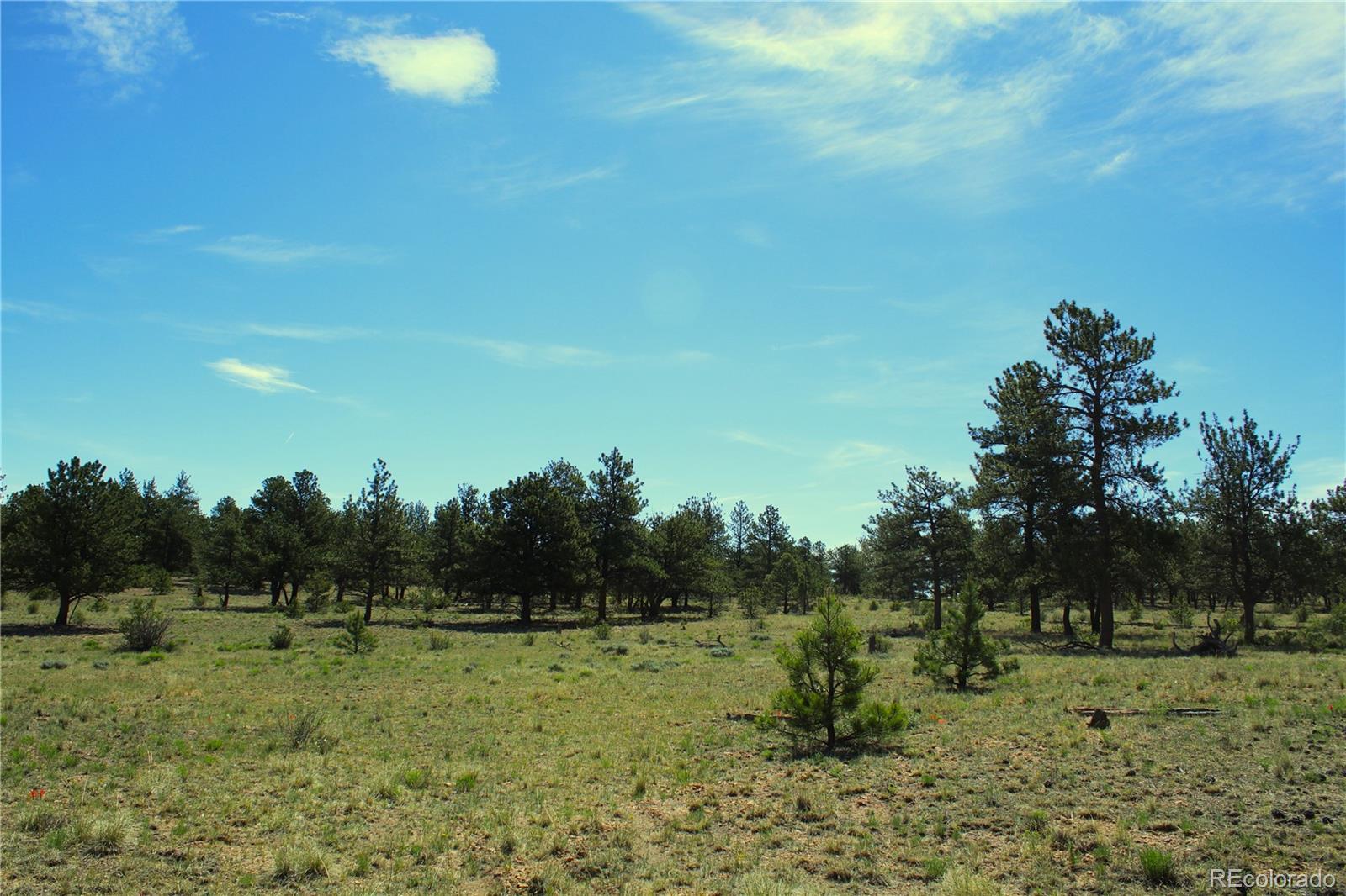 31572 Highway 9