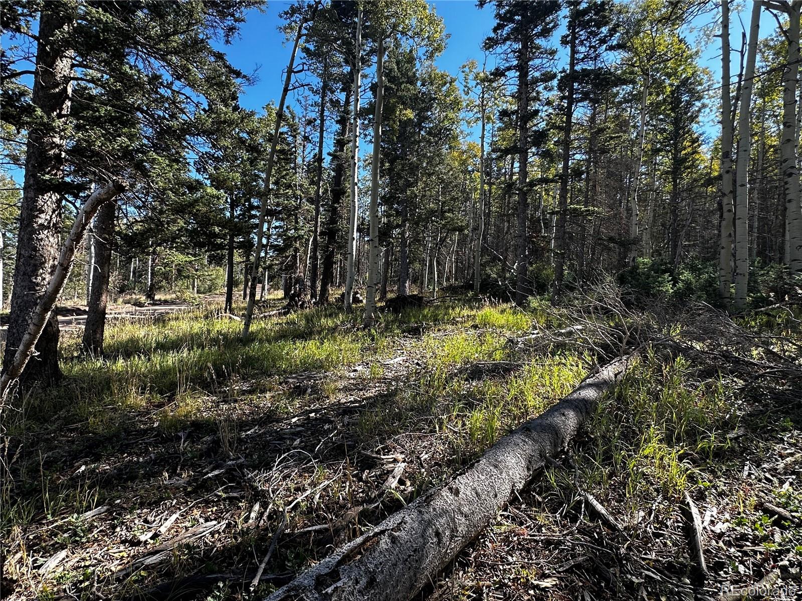 Lot 2652 Petito Drive
