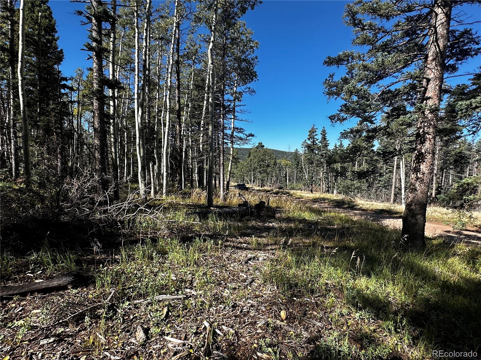 Lot 2652 Petito Drive