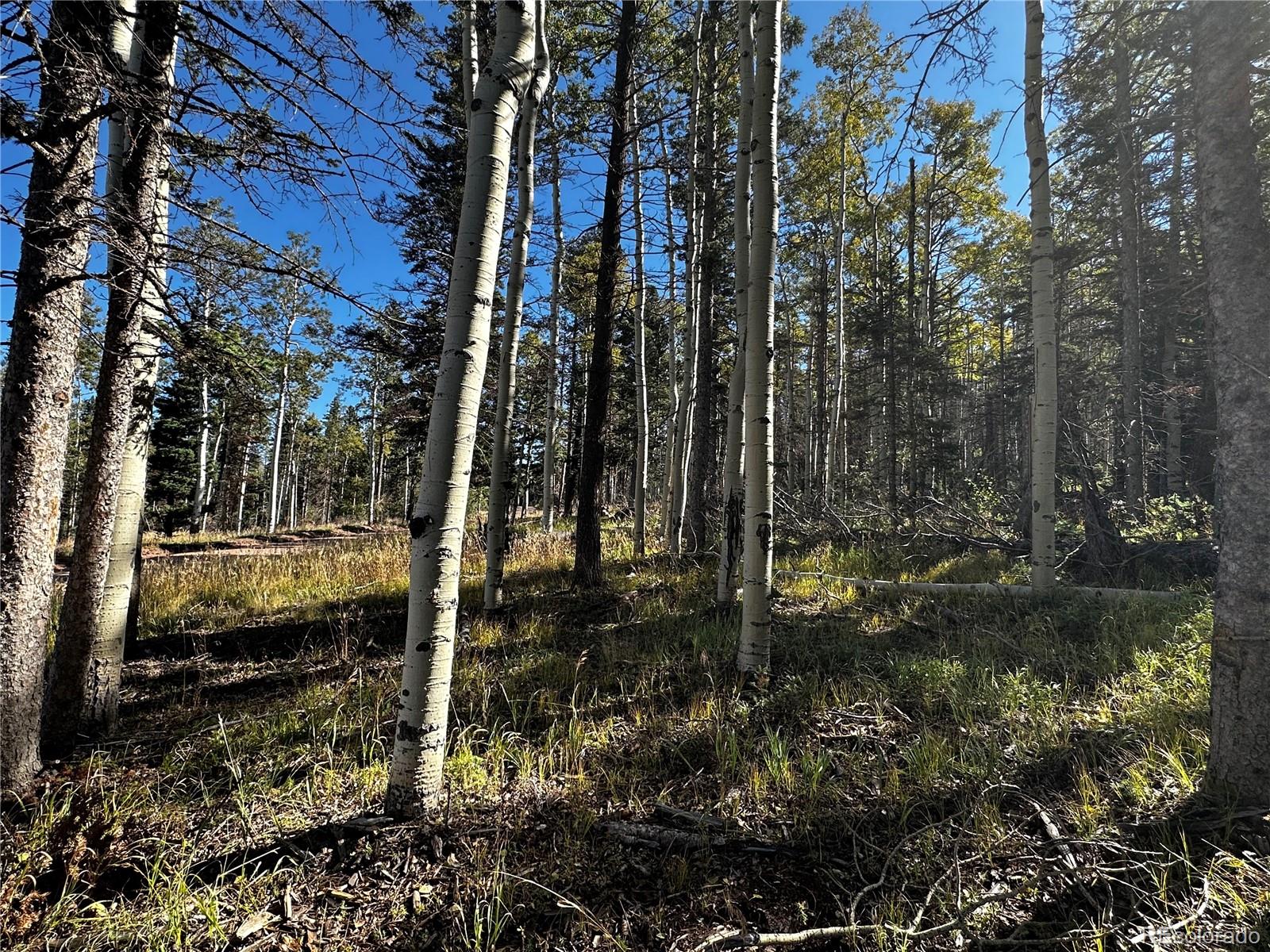 Lot 2652 Petito Drive