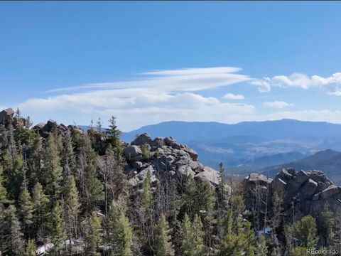 12350 Powhatan Trail Conifer CO 80433