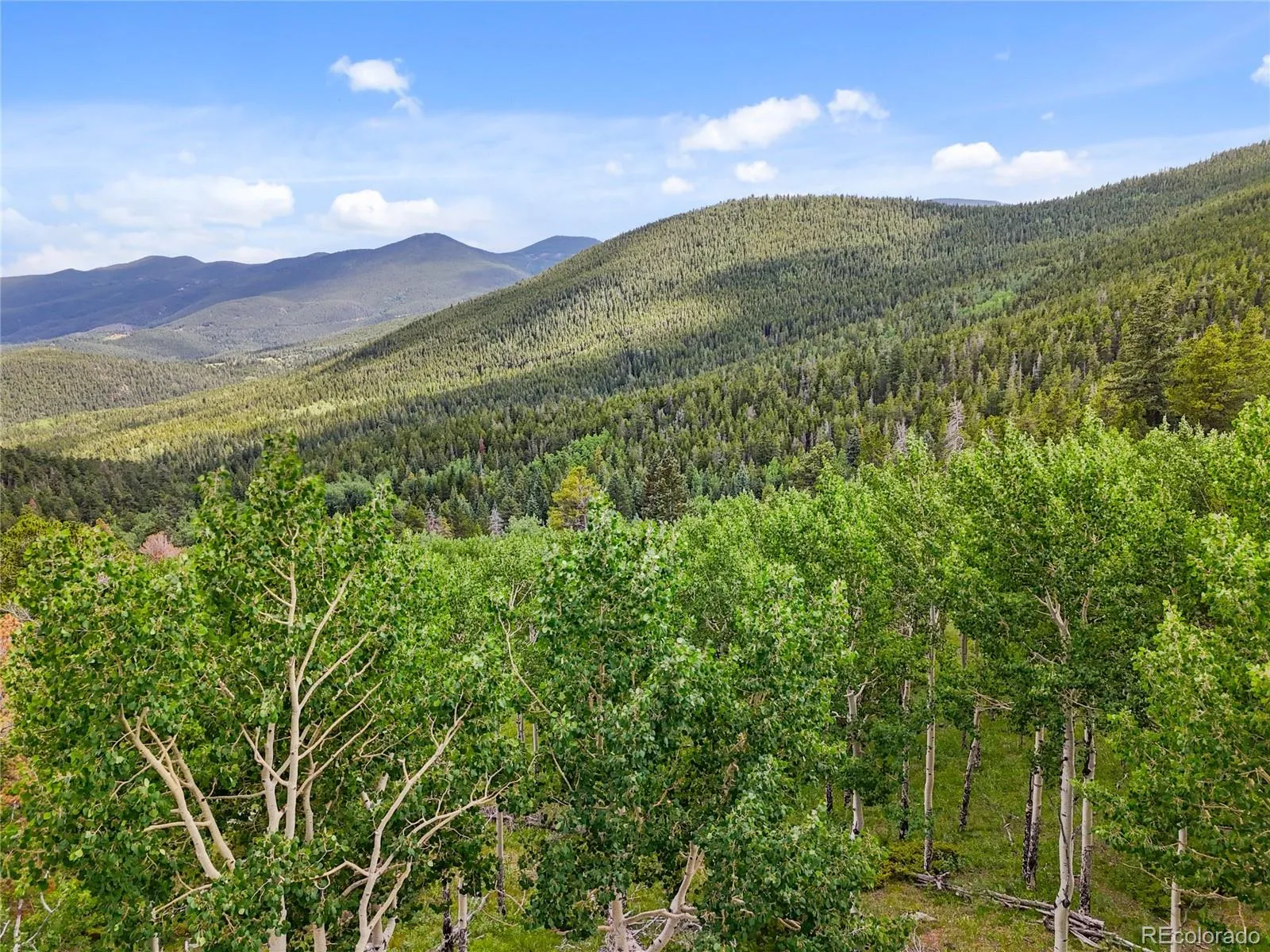 Evergreen, Colorado 80439, United States, ,Land,Active,145431