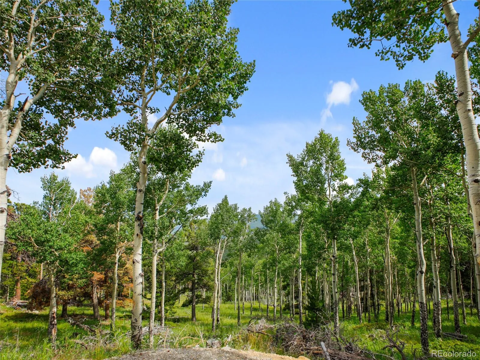 Evergreen, Colorado 80439, United States, ,Land,Active,145431