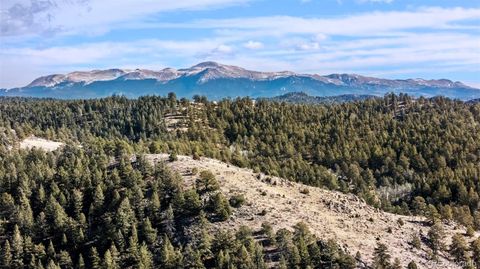 0 County Road 12 Florissant CO 80816