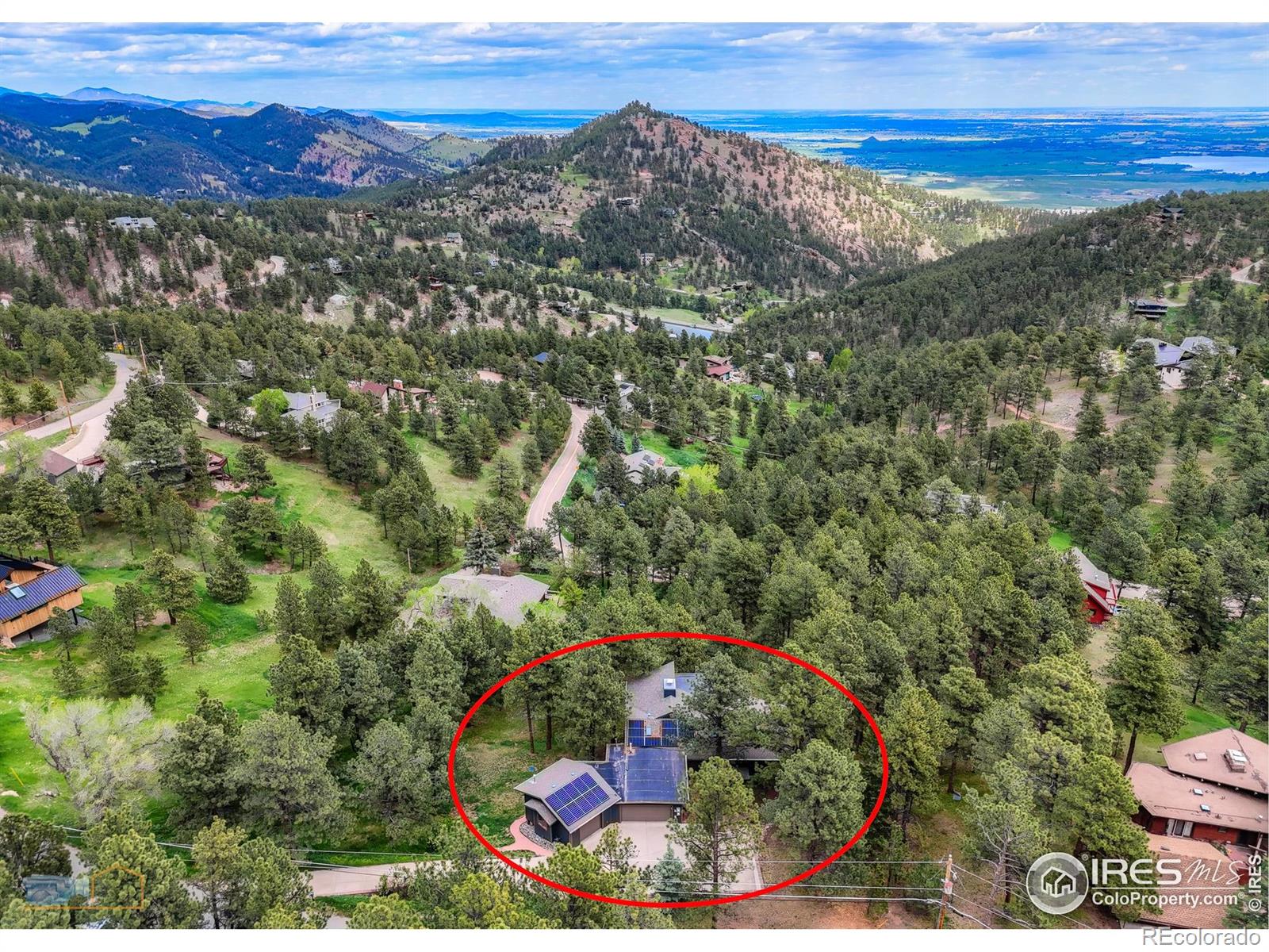 335 Pine Tree Lane