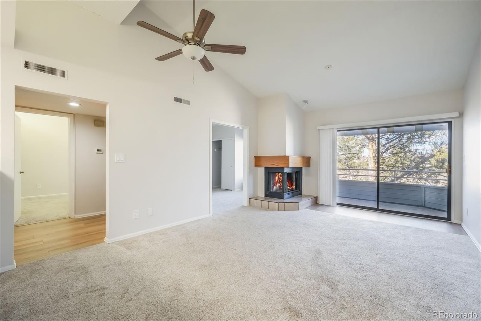 3664 Iguana Drive