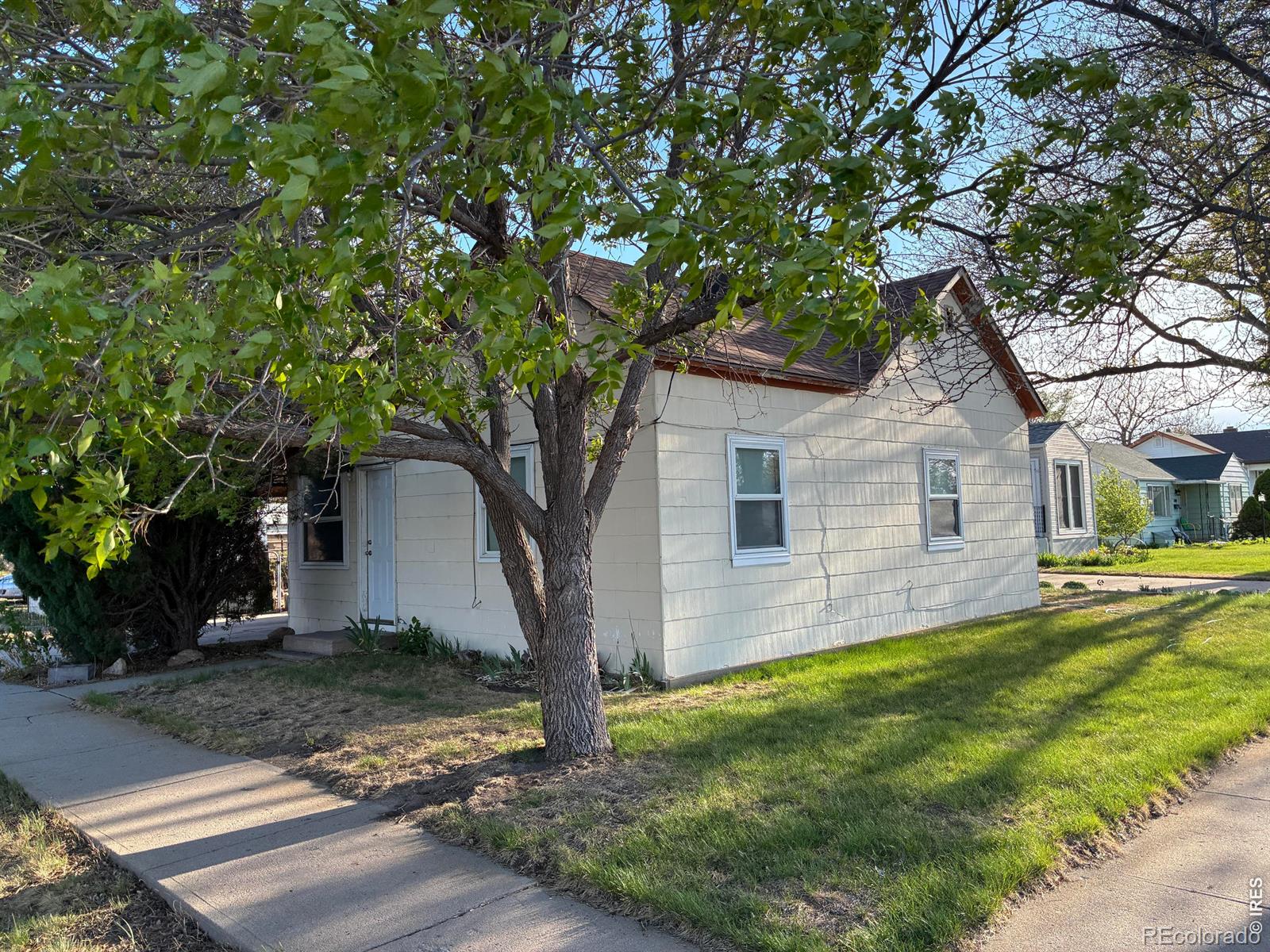 501 Cleveland Street