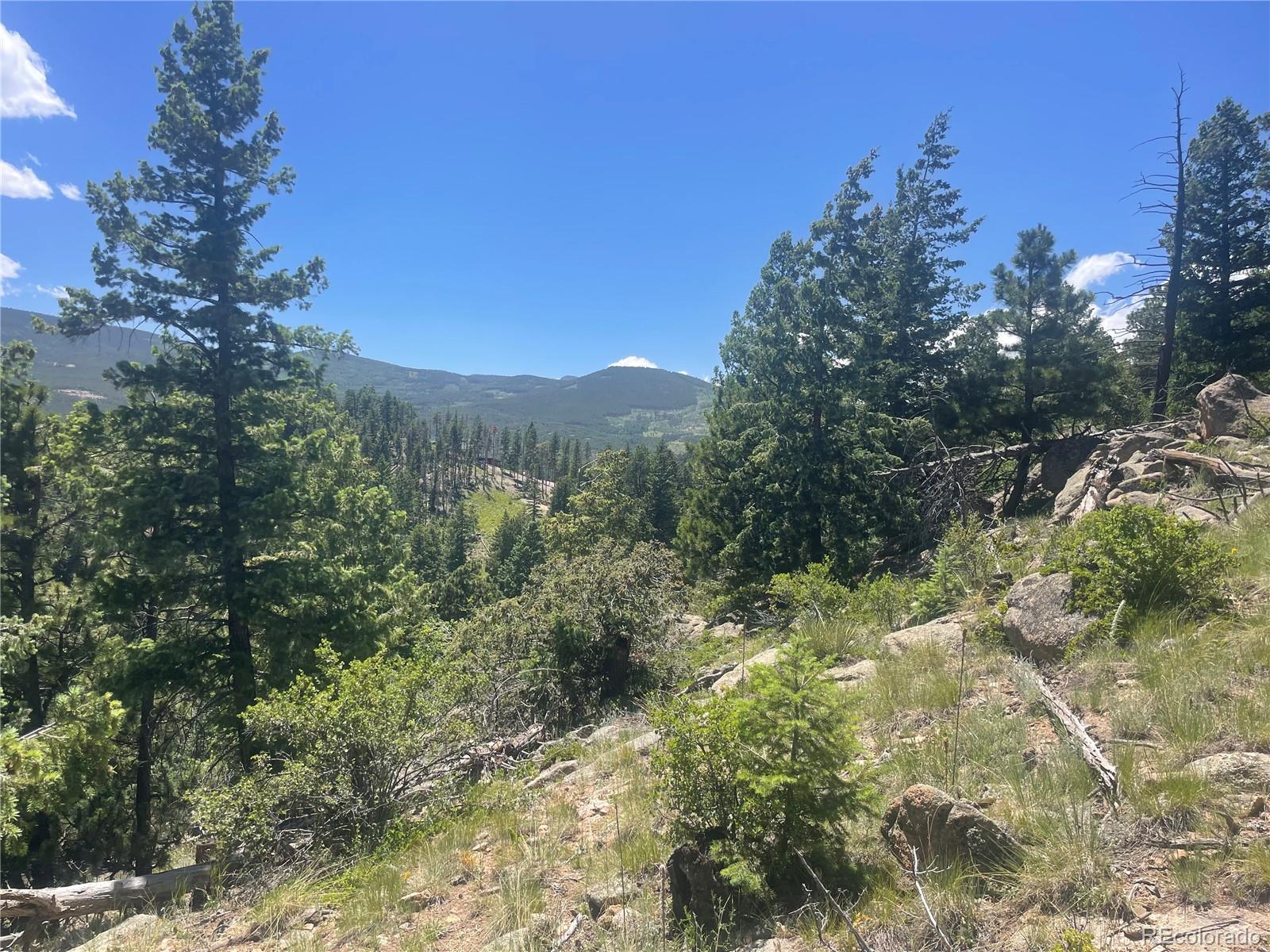 32634 Lodge Pole Circle