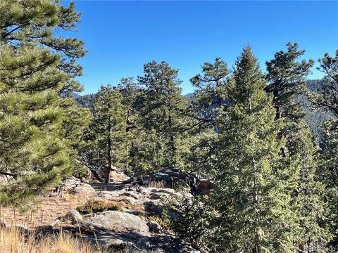 32634 Lodge Pole Circle Evergreen CO 80439