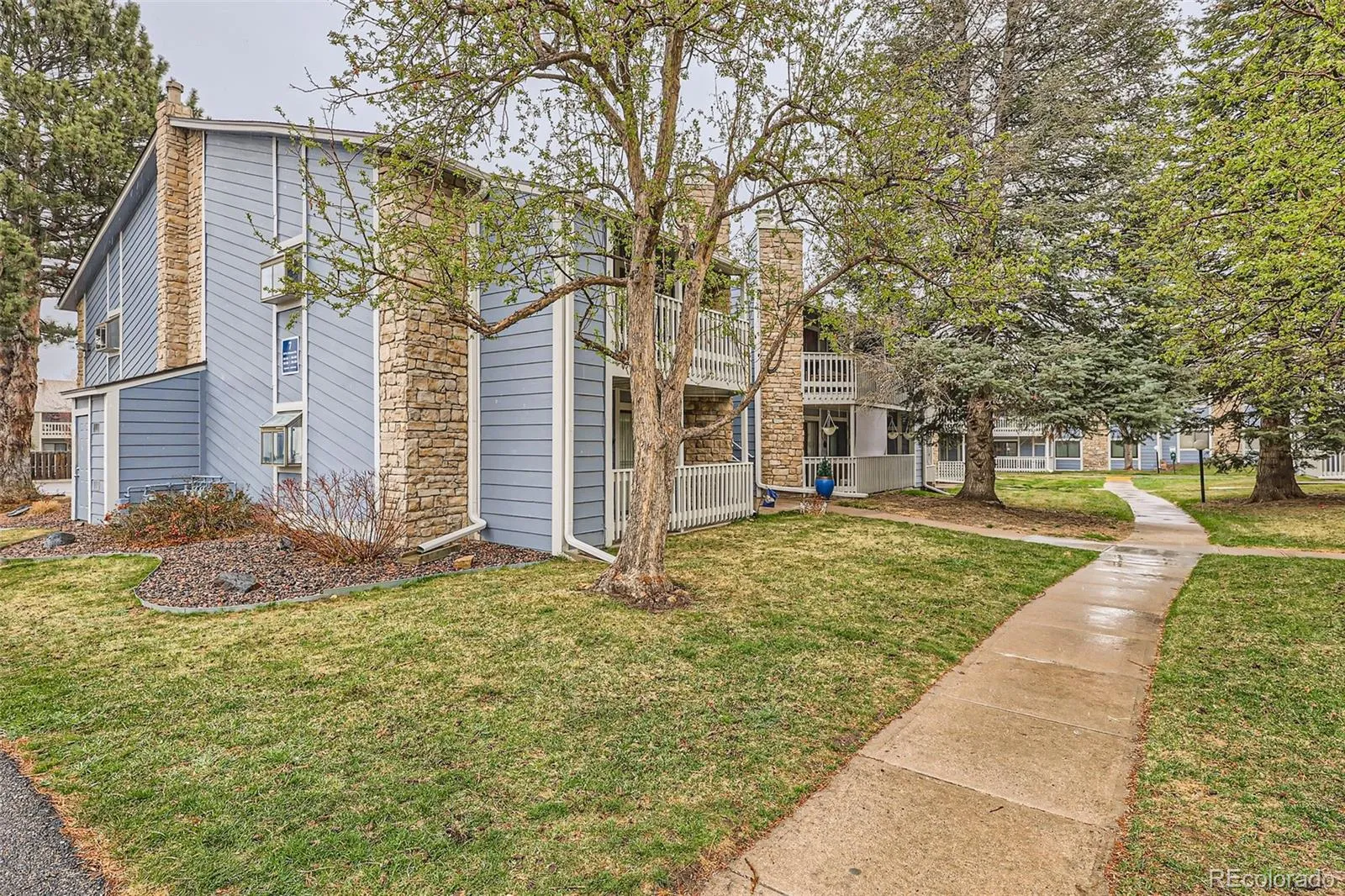 Denver, Colorado 80247, United States, 1 Bedroom Bedrooms, ,1 BathroomBathrooms,Residential,Pending,102238