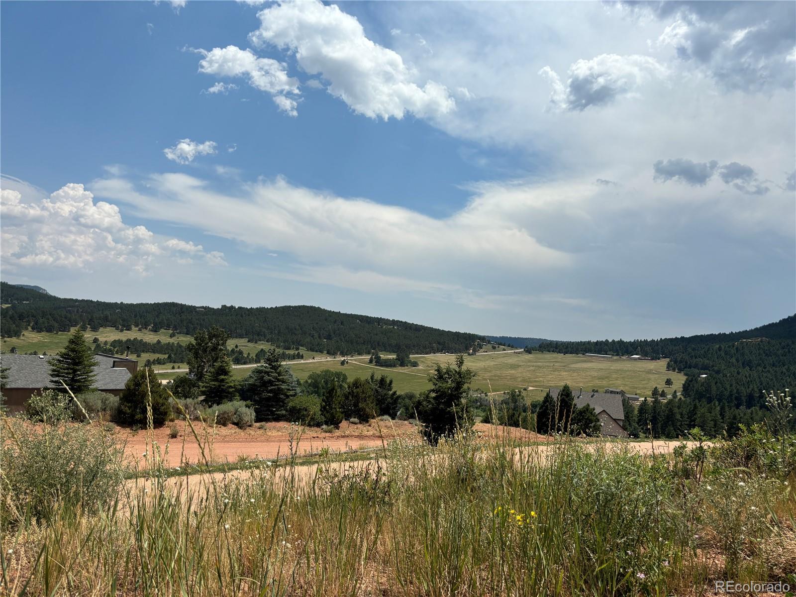 2288 Badger Drive, Larkspur, CO, 80118 2288 Badger Drive