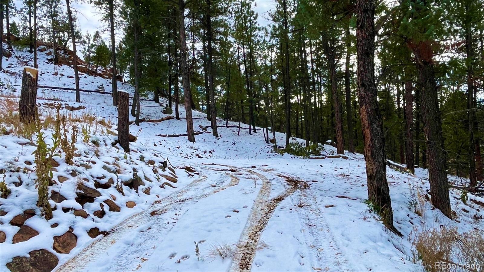 15126 N Pine Lake Place