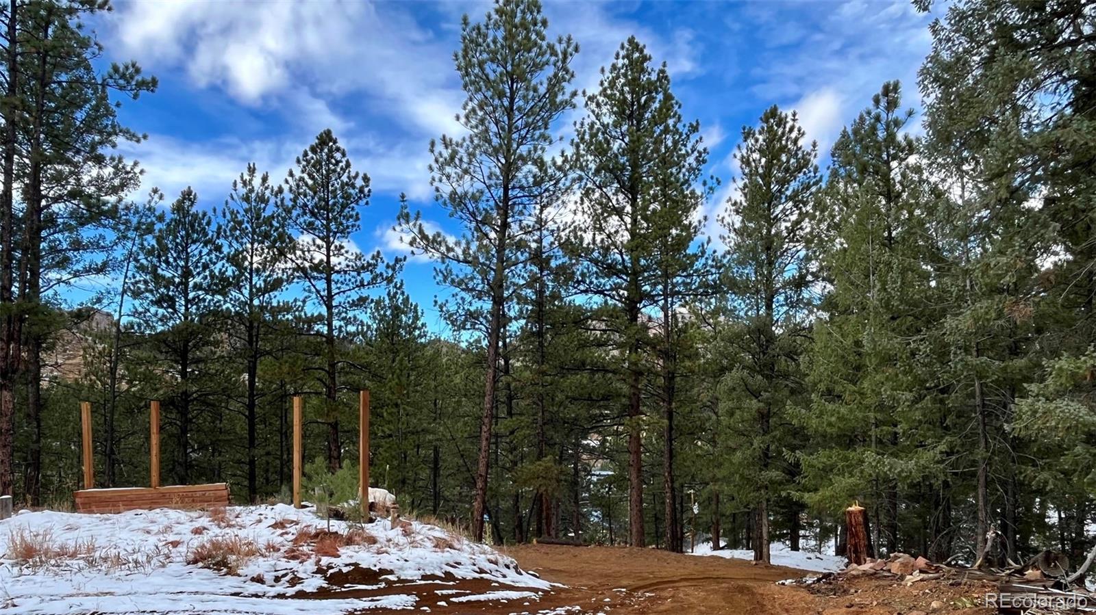 15126 N Pine Lake Place