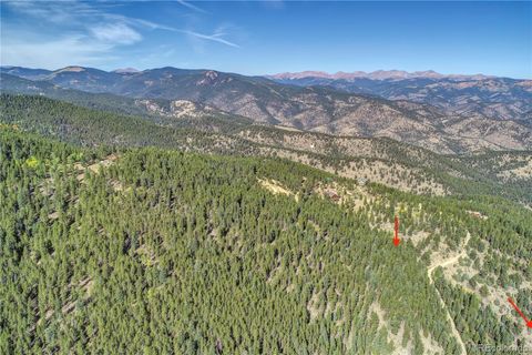 123 Warren Gulch Idaho Springs CO 80452