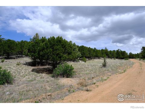 515 Sunset Trail, Cotopaxi, CO 81223 - #: IR988985