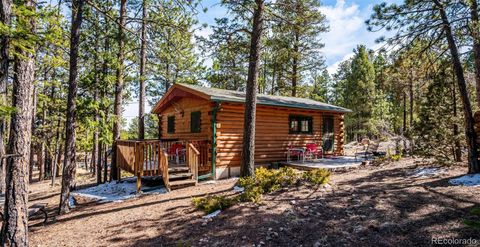 33885 La Plata Lane Pine CO 80470