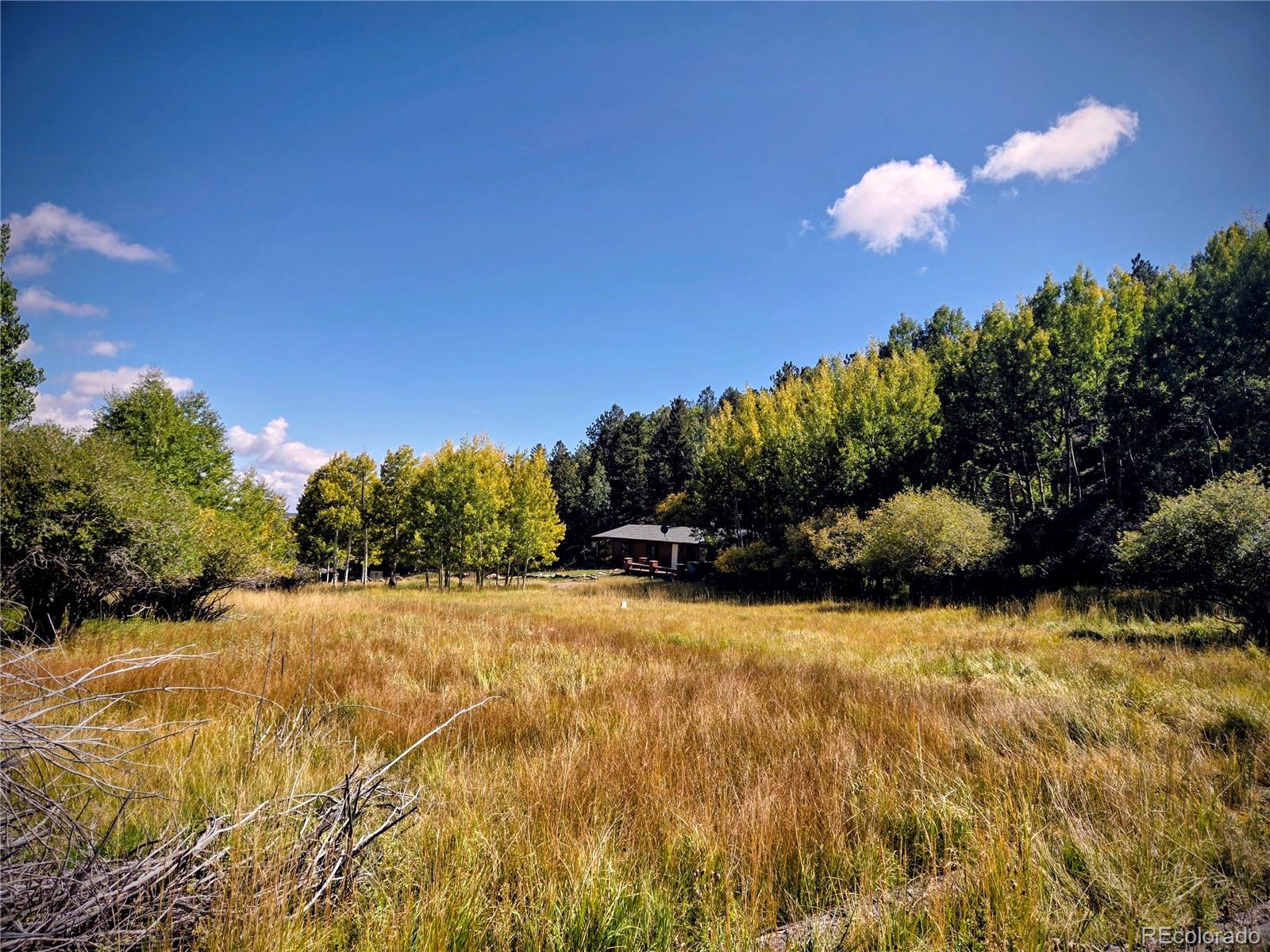 604 N Pine Drive, Bailey, CO, 80421 1 604 N Pine Drive