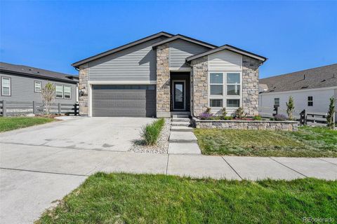 7169 Canyon Sky Trail Castle Pines CO 80108