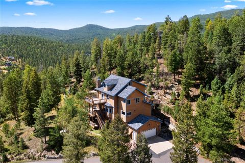 10060 Blue Sky Trail Conifer CO 80433