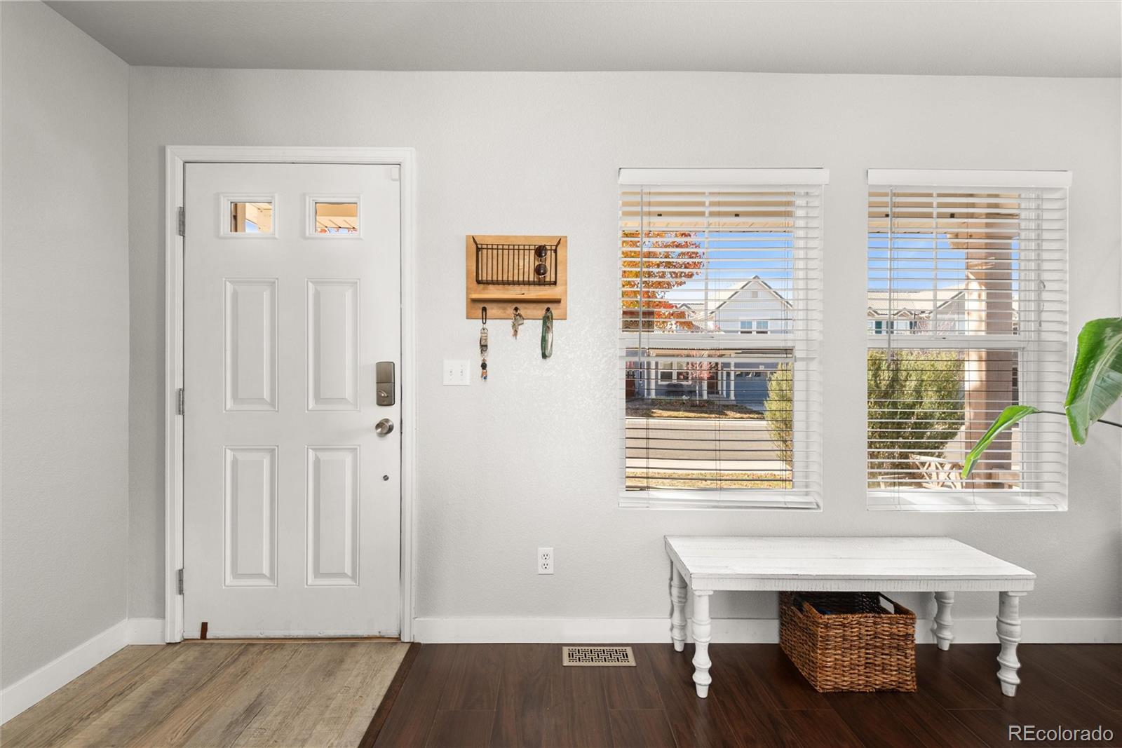 3735 Dinosaur Street