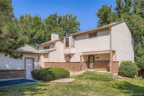 1008 Homestake Drive 2A Golden CO 80401