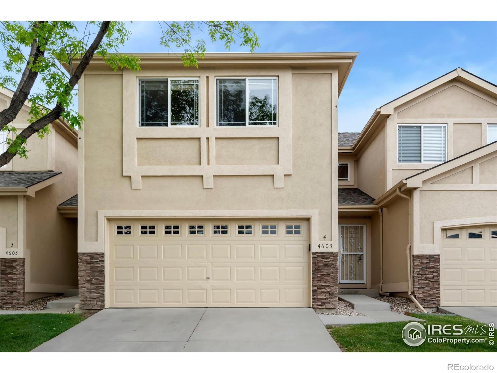4603 Dusty Sage Court 4
