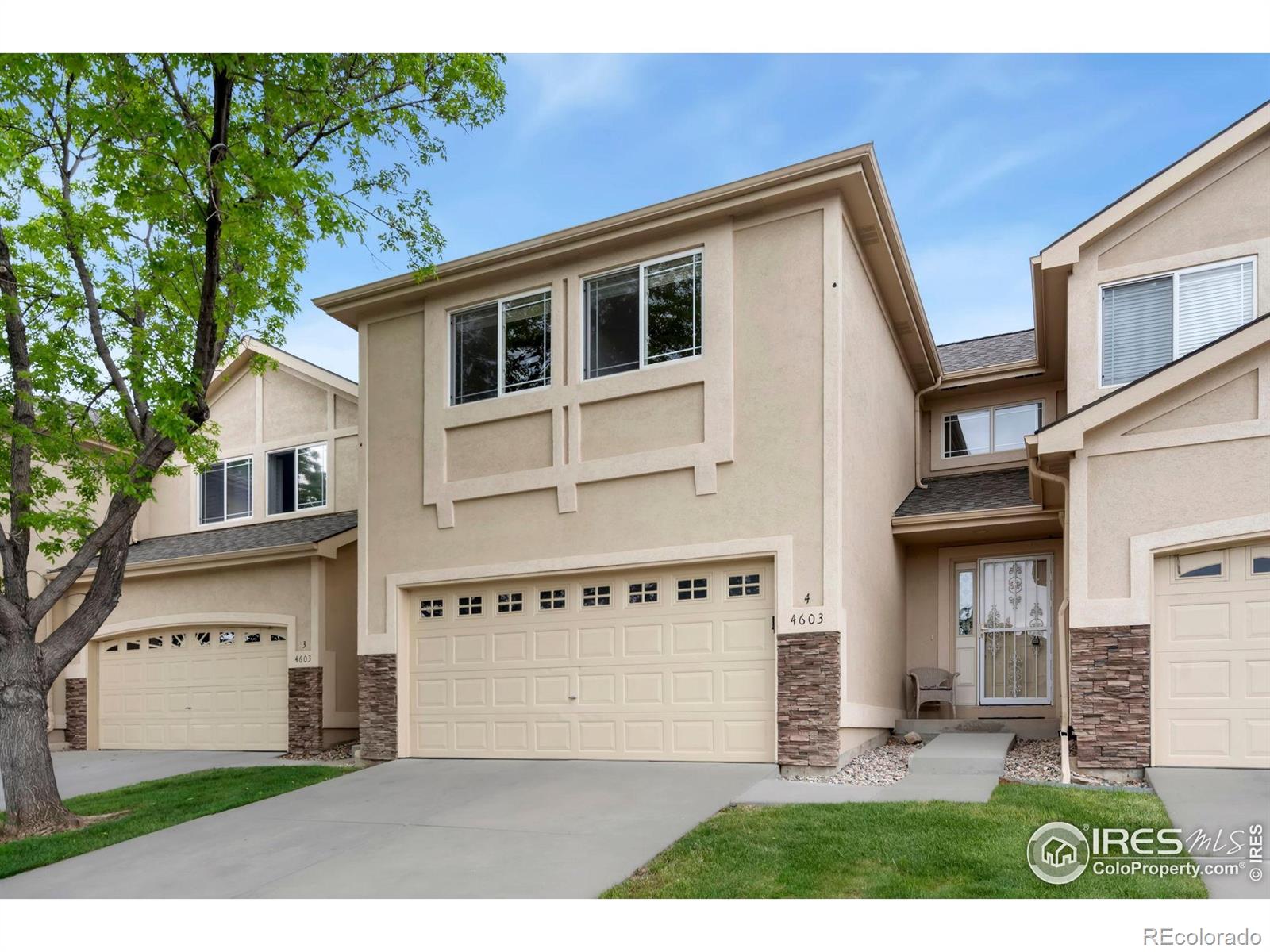 4603 Dusty Sage Court 4