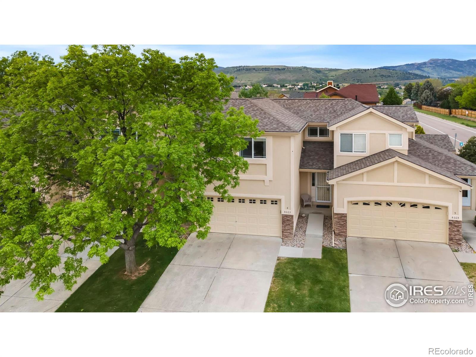 4603 Dusty Sage Court 4