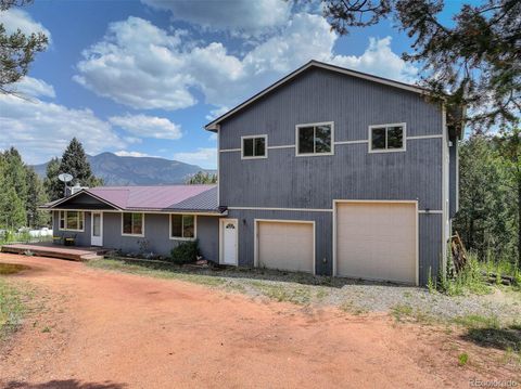 34203 Ponca Road Pine CO 80470