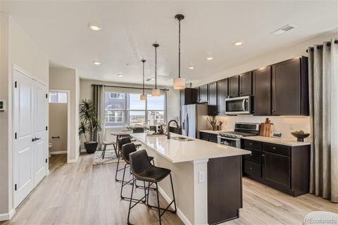 6983 Ipswich Court Castle Pines CO 80108