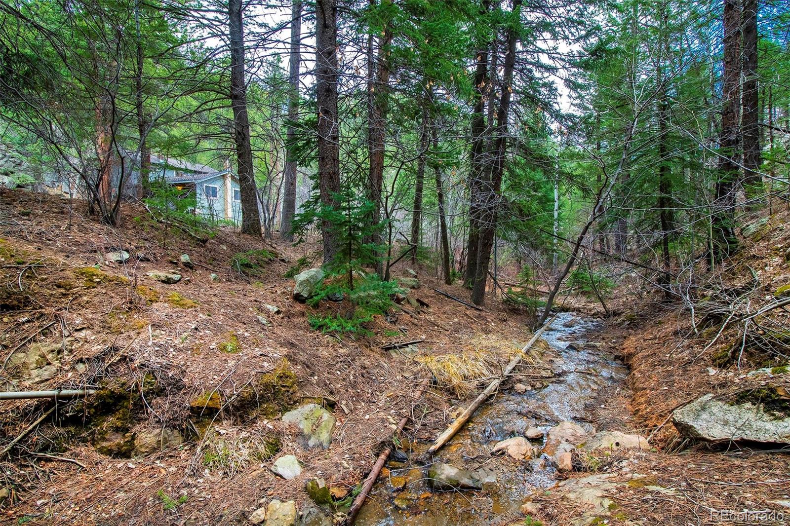 1608 Beaver Brook Canyon Road