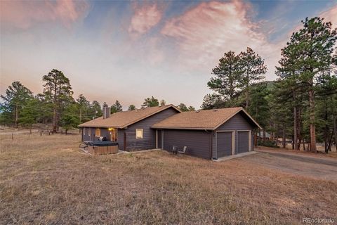 56 Odin Way Estes Park CO 80517
