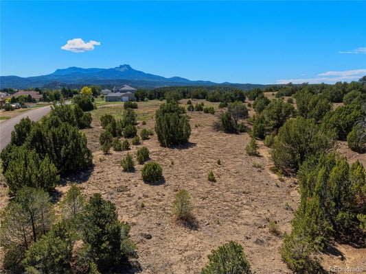 TYSON CT, TRINIDAD, CO 81082 - Image 491e59459a162bafffbbb202ff80d06a/1520038424