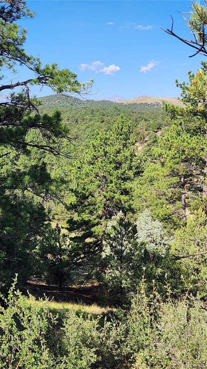 TBD L 43rd Trail