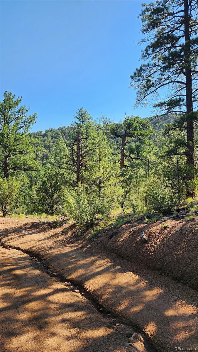 TBD L 43rd Trail