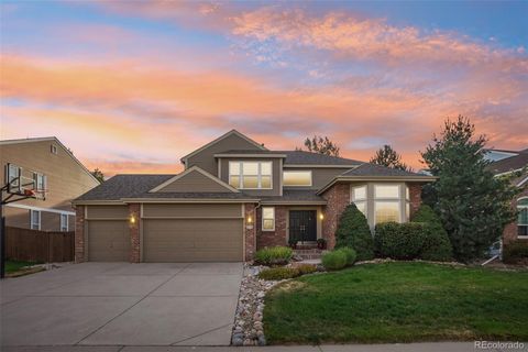 1993 Mountain Maple Avenue Highlands Ranch CO 80129