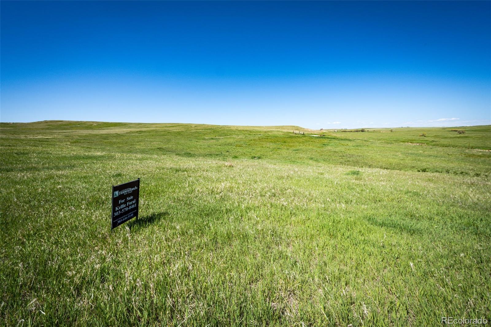 2555 Rustlers Canyon Loop