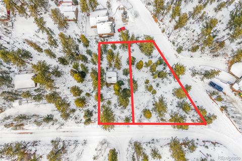 395 Jones Road Bailey CO 80421