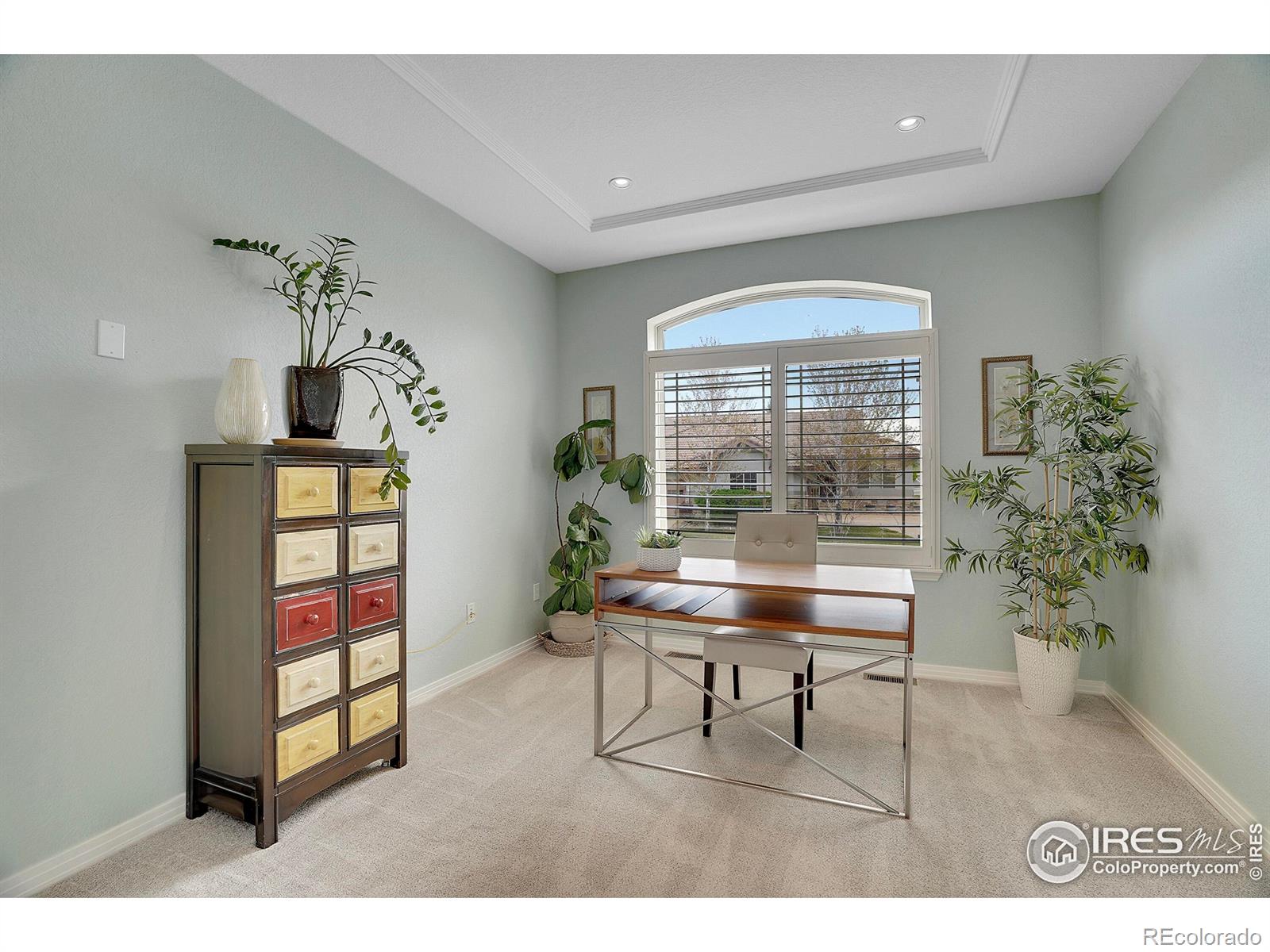 1993 Cedarwood Place, Erie, CO, 80516 4 1993 Cedarwood Place