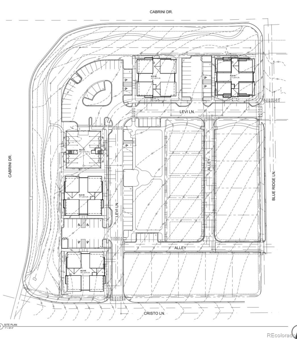 411 Levi Lane