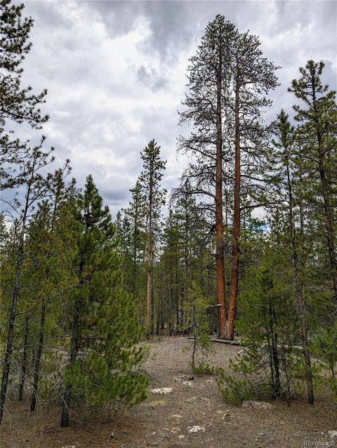 437 Juniper Drive Twin Lakes CO 81251
