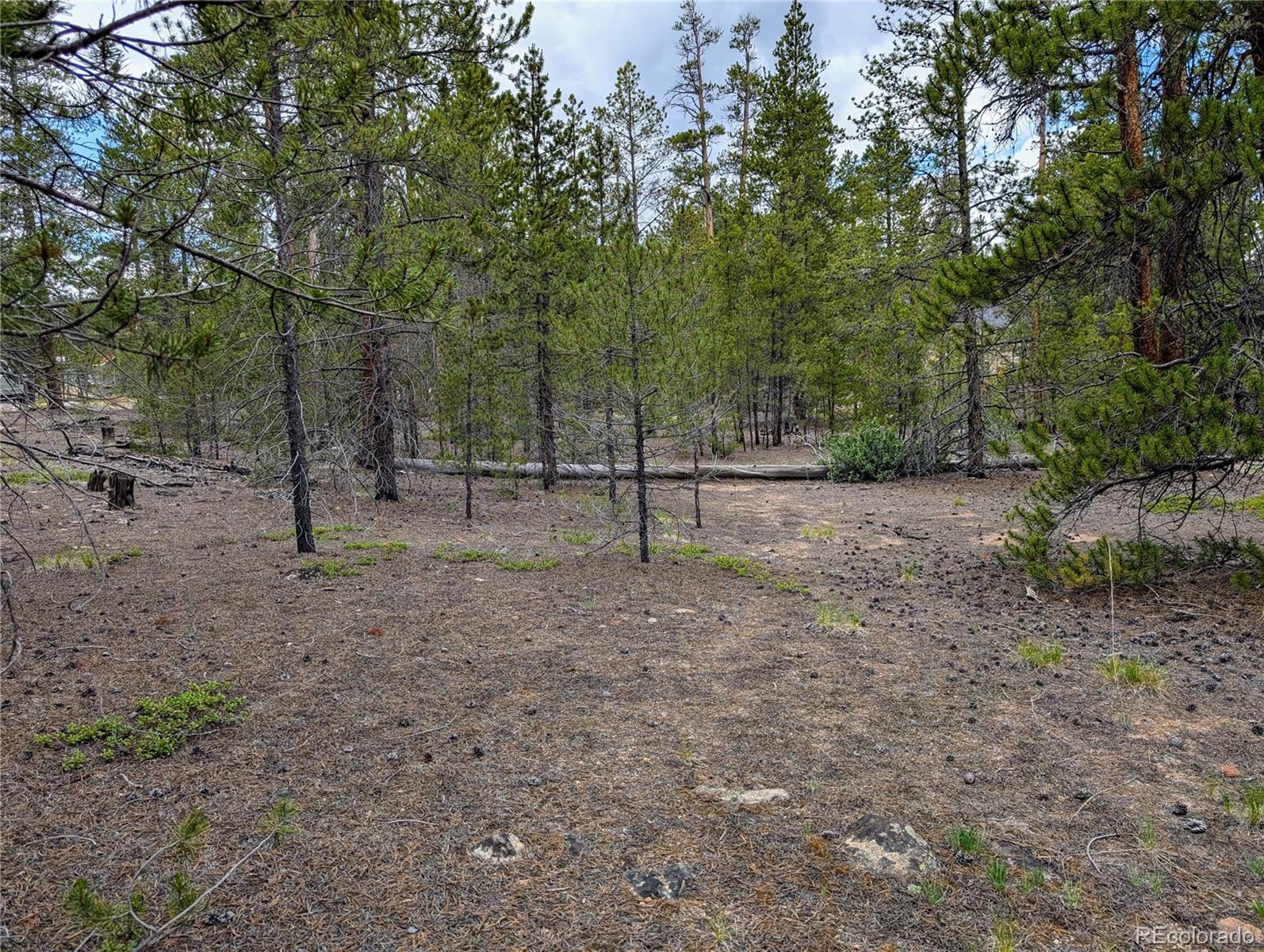 437 Juniper Drive