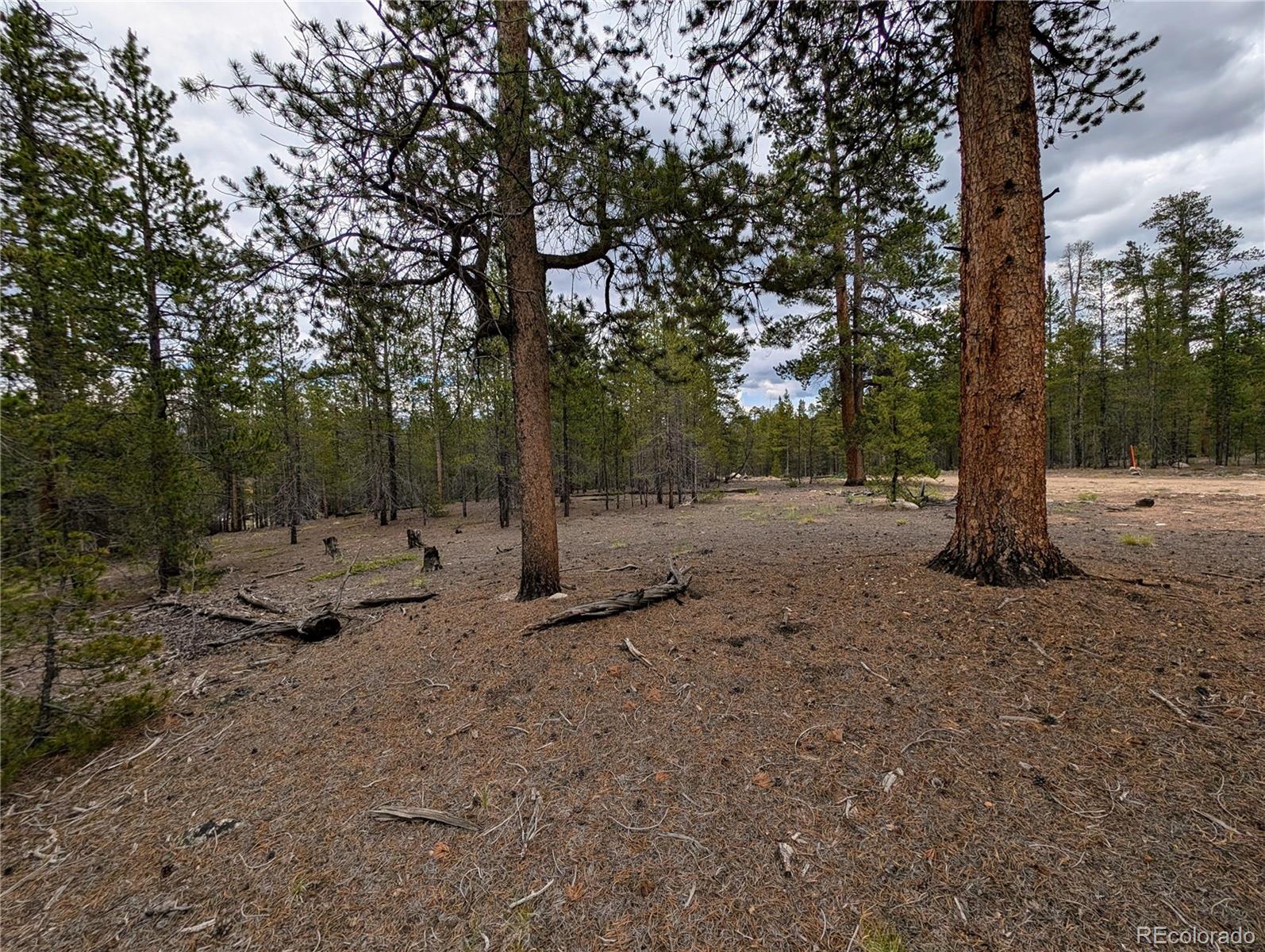 437 Juniper Drive